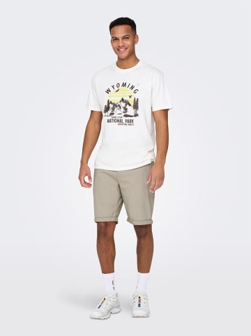 ONLY & SONS Shorts "Peter" in Beige