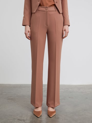 BGN Hose in Taupe
