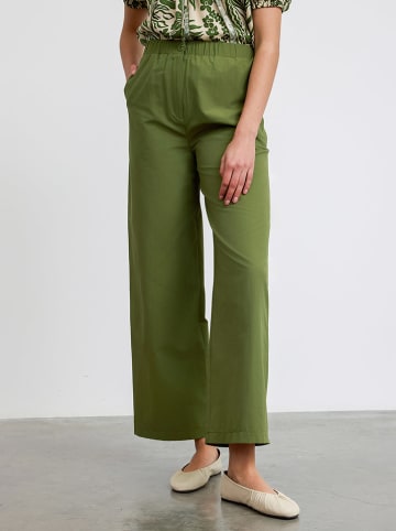 BGN Marlenehose in Grün