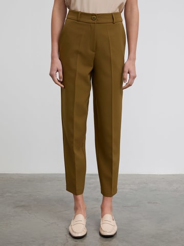 BGN Chino in Braun