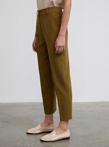 BGN Chino in Braun