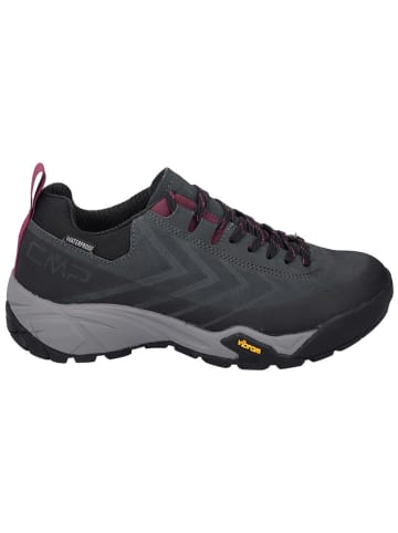 CMP Leder-Wanderschuhe "Mintaka" in Dunkelblau/ Lila