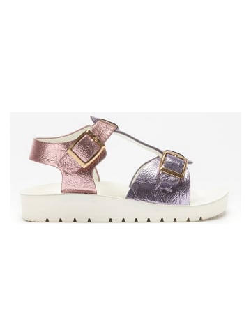 Lelli Kelly Sandalen paars/lichtroze