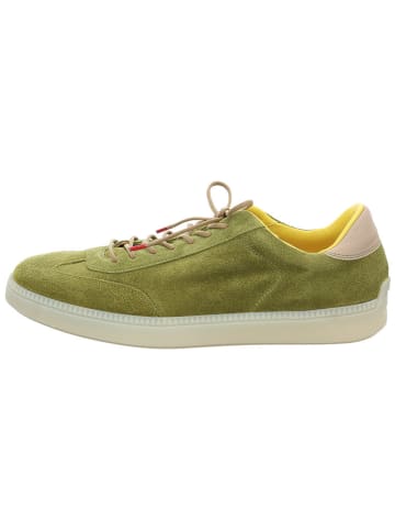 Think! Leder-Sneakers  in Grün