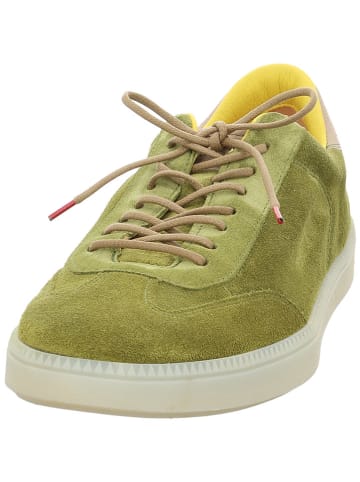 Think! Leder-Sneakers  in Grün