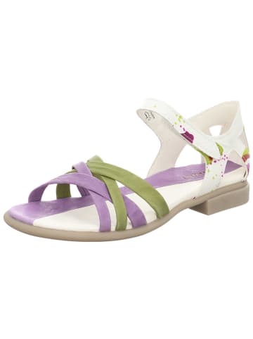 Think! Leder-Sandalen in Khaki/ Weiß/ Lila