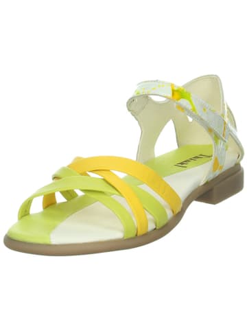 Think! Leder-Sandalen in Grün/ Gelb