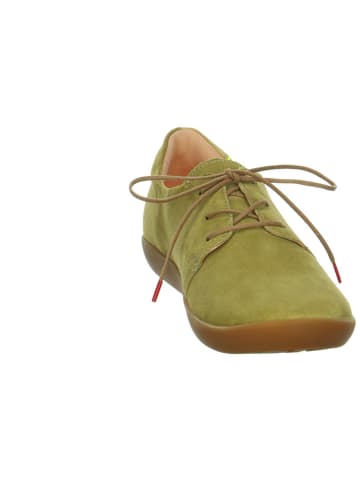 Think! Schnürschuhe in Khaki