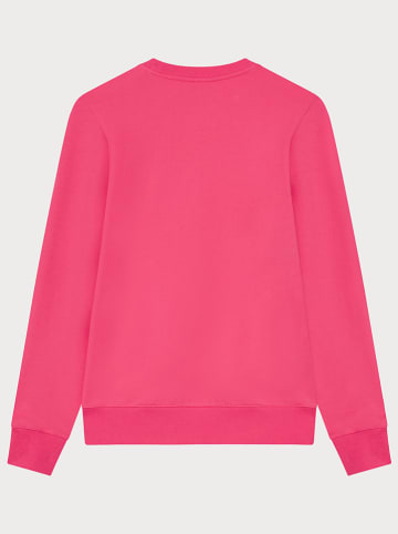 Champion Sweatshirt in Pink