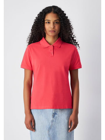 Champion Poloshirt in Pink