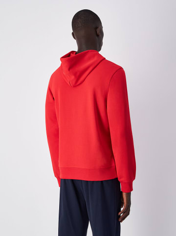 Champion Hoodie in Rot