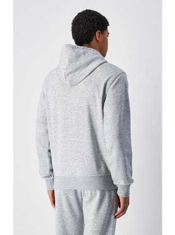 Champion Hoodie in Grau