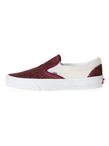 Vans Slipper in Bordeaux/ Creme
