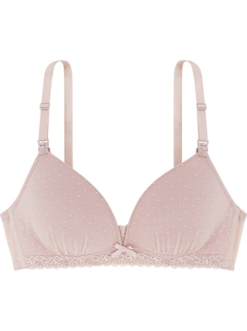 Dorina Still-BH in Rosa