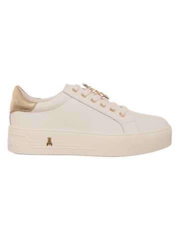 Patrizia Pepe Leder-Sneakers in Weiß/ Gold