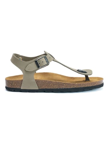 Mandel Leder-Zehensandalen in Grau