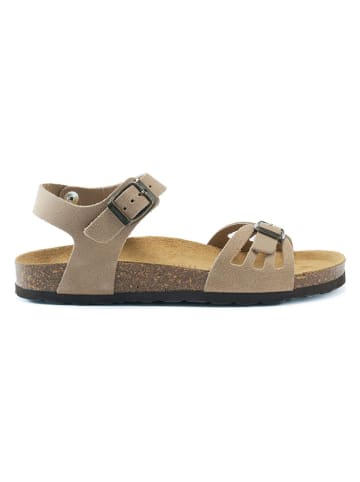 Mandel Leder-Sandalen in Taupe