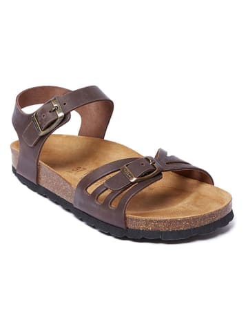 Mandel Leder-Sandalen in Braun