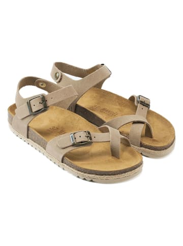 Mandel Leder-Zehensandalen in Beige/ Braun