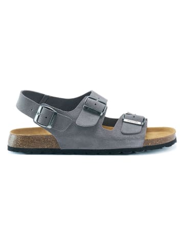 Mandel Leder-Sandalen in Grau