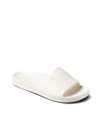 Reef Slippers "Water Scout"