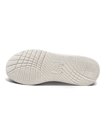 Reef Schnürschuhe in Beige