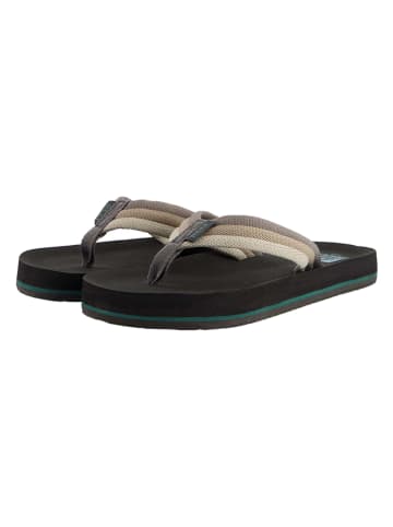 Reef Zehentrenner "Ahi" in Khaki/ Grau