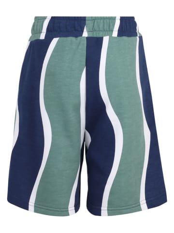 Fila Shorts in Grün/ Dunkelblau