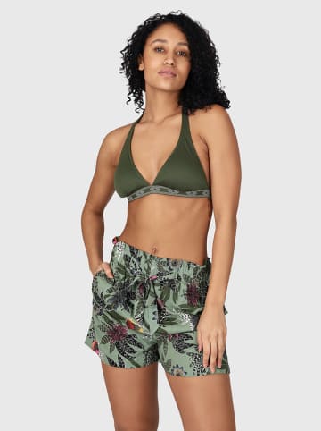 Brunotti Shorts "Tarifa" in Grün/ Bunt