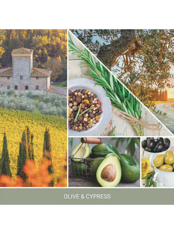 Yankee Candle Świeca zapachowa "Olive & Cypress" - 37 g
