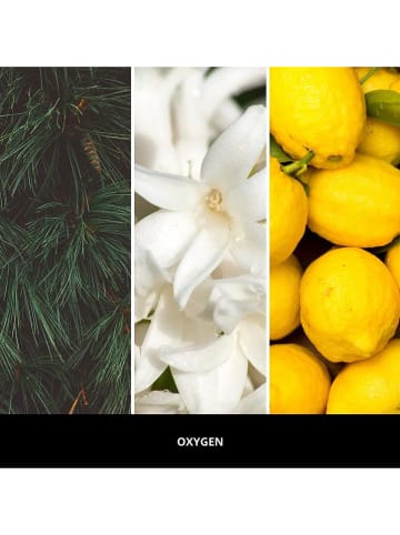 Millefiori Milano Nachfüllpack für Raumerfrischer "Flower" - 100 ml