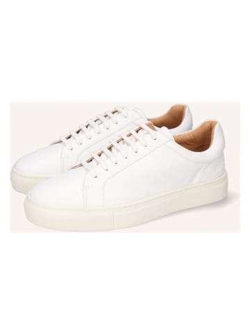 MELVIN & HAMILTON Leder-Sneakers "Tyler" in Weiß