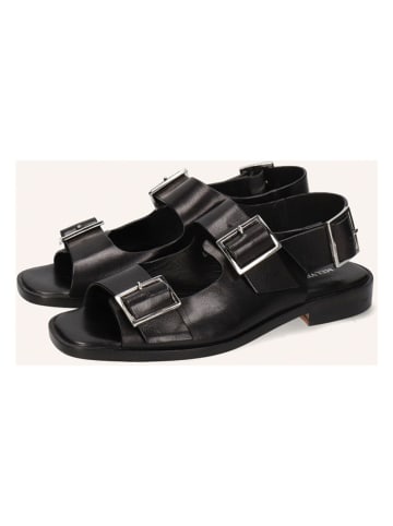 MELVIN & HAMILTON Leder-Sandalen "Everly" in Schwarz
