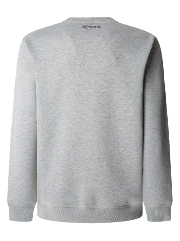 Pepe Jeans Sweatshirt "Daxton" in Grau