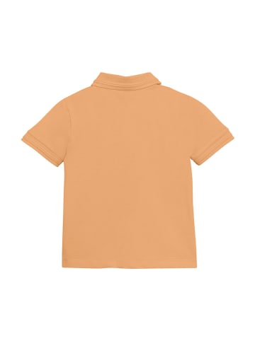 enfant Koszulka polo w kolorze pomarańczowym