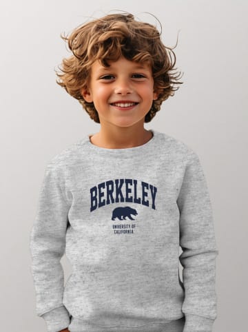 American Universities Sweatshirt "Berkeley University Of California" in Grau
