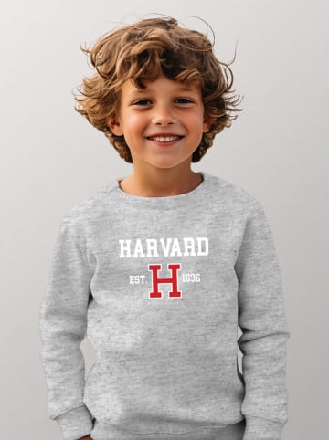American Universities Sweatshirt "Harvard Est 1636" in Grau