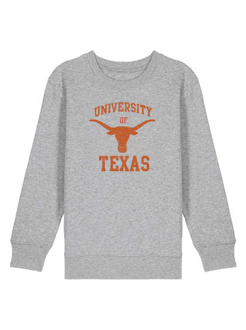 American Universities Sweatshirt "University Of Texas" in Grau