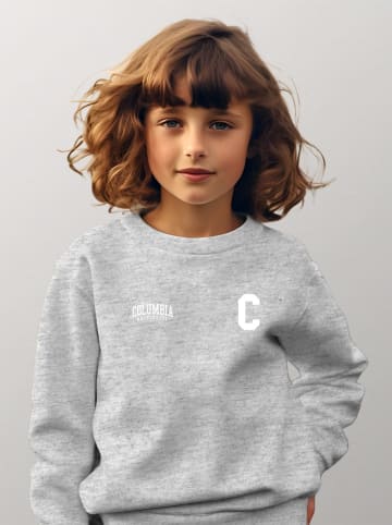 American Universities Sweatshirt "Colombia University" in Grau