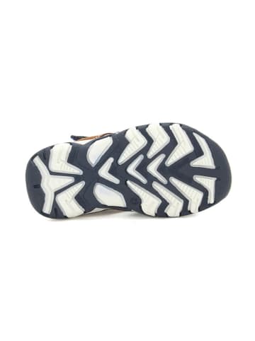 Bartek Leren enkelsandalen donkerblauw/lichtbruin