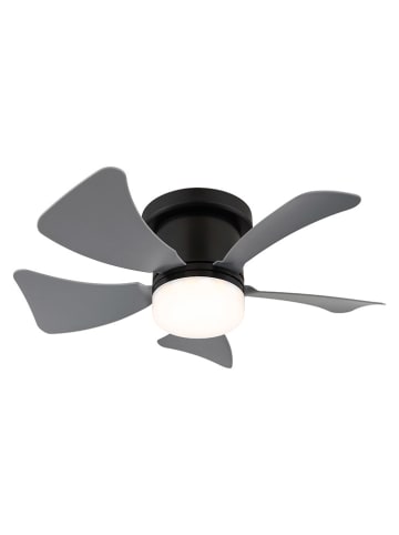 Globo lighting LED-Deckenventilator "Hinea" in Schwarz - (H)13 x Ø 40,6 cm