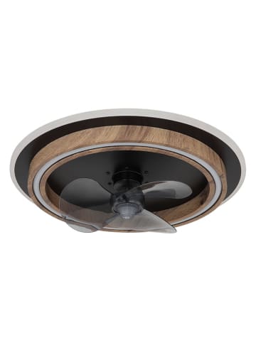 Globo lighting LED-Deckenventilator "Bozan" in Schwarz - (H)13,5 x Ø 50 cm 