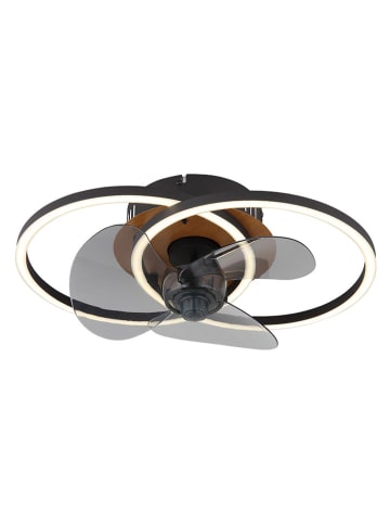 Globo lighting LED-Deckenventilator "Karen" in Schwarz - (B)42 x (H)14,4 x (T)28 cm