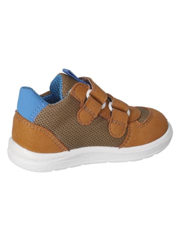 PEPINO Sneakers in Hellbraun
