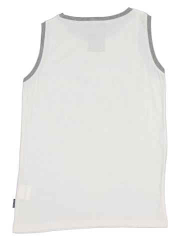 Peak Mountain Top wit