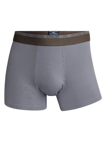 CR7 2er-Set: Boxershorts in Grau/ Braun