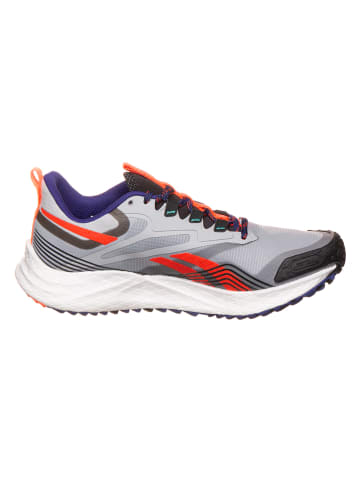 Reebok Hardloopschoenen "Floatride Energy 4 Adventure" grijs