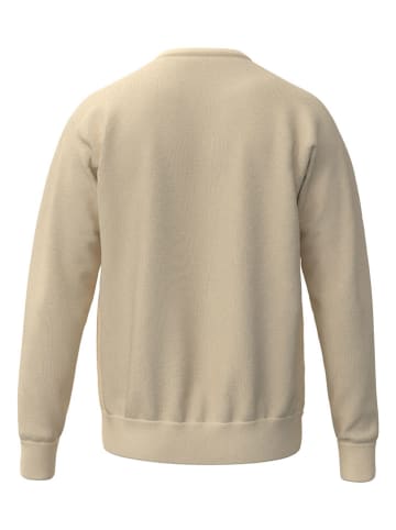 erima Sweatshirt in Beige
