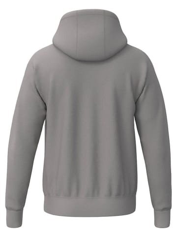 erima Hoodie in Grau