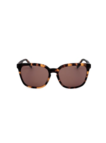 adidas Herren-Sonnenbrille in Braun